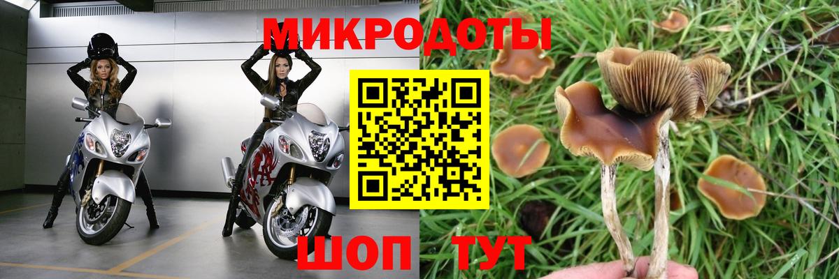 Галлюциногенные грибы Cubensis  Псилоцибиновые грибы Psilocybine cubensis  наркота  Вход с VPN  Мурино 